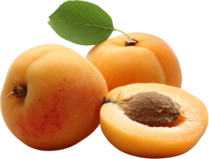 Regional fruit jams - Vergers des Alpilles